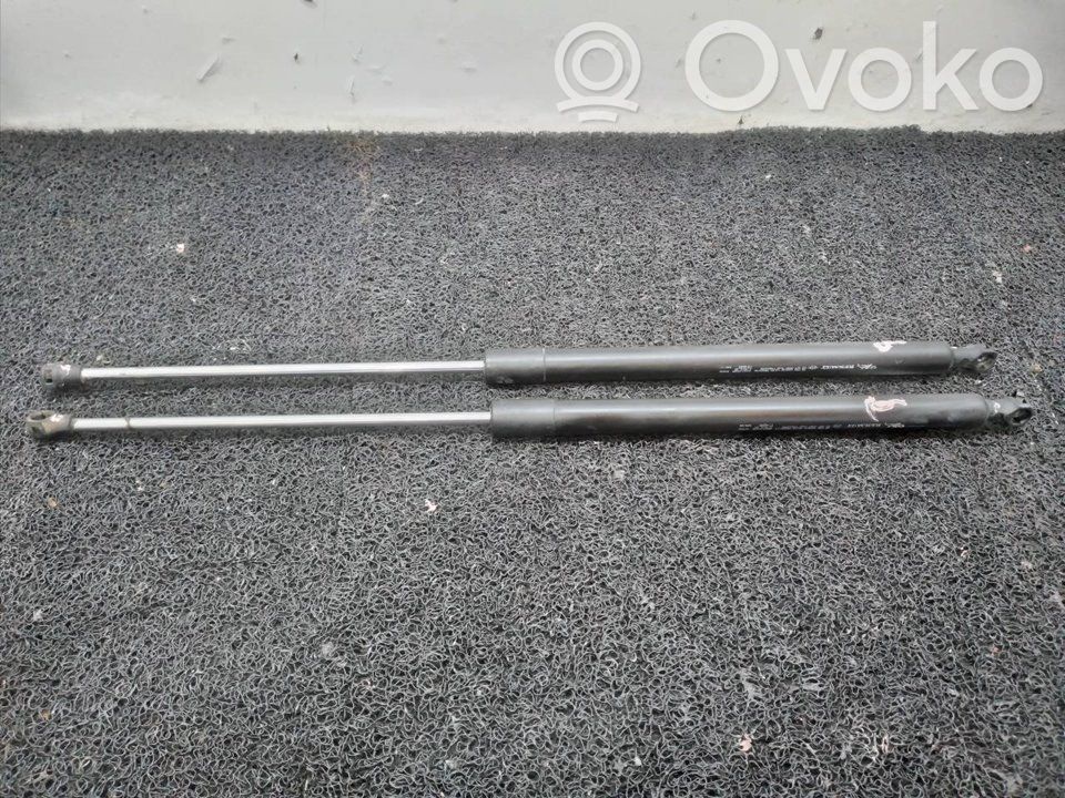 Tailgate/trunk strut/damper