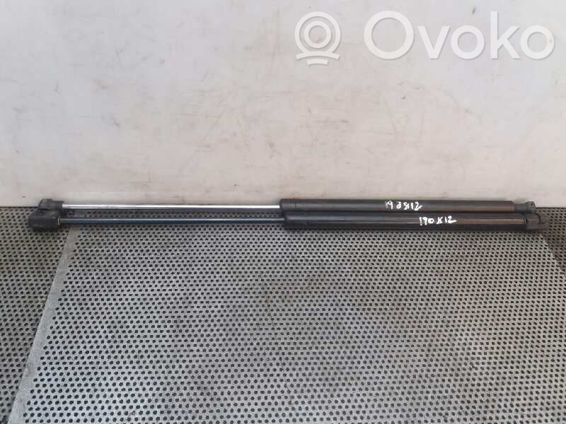 Tailgate/trunk strut/damper