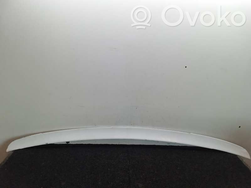 Tailgate/trunk spoiler