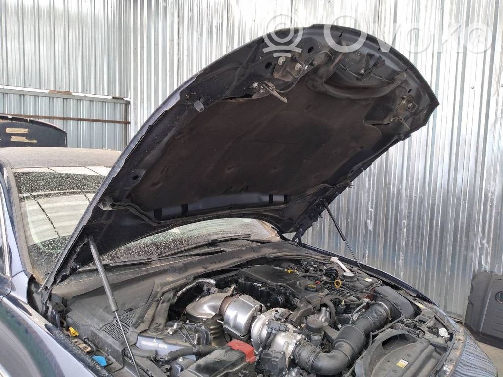 Jaguar XE Ammortizzatore portellone anteriore/cofano