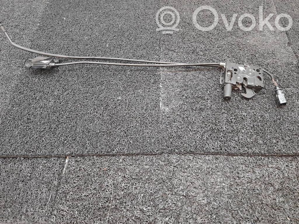 Tie down hook / loop   8W0823509C