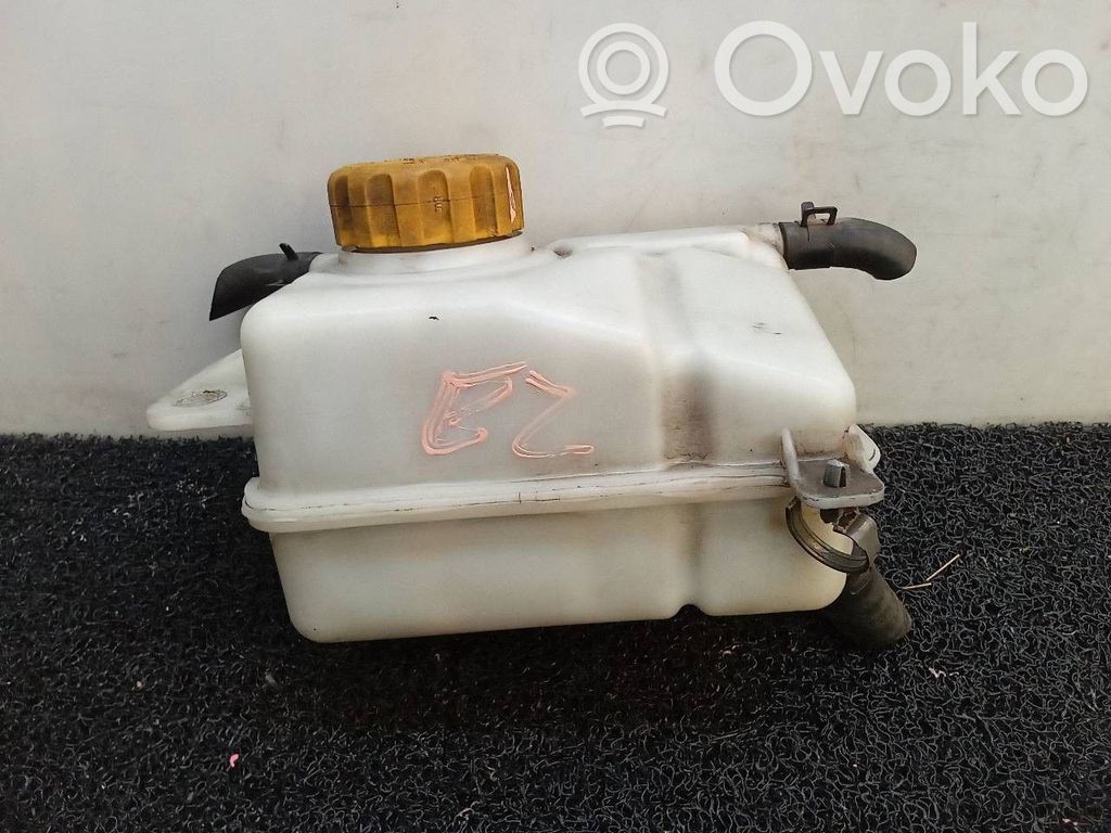 Chevrolet Aveo Vas expansiune combustibil 