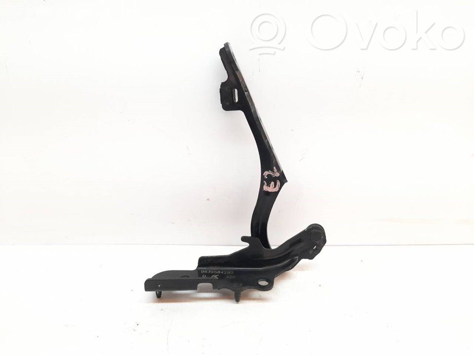 Citroen C2 Konepellin saranat 