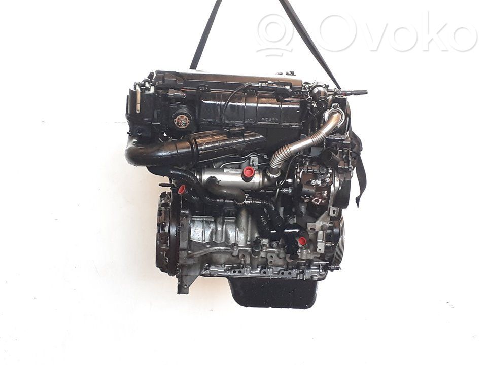 Motor   8HS