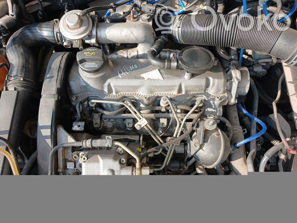 Motor   ASV
