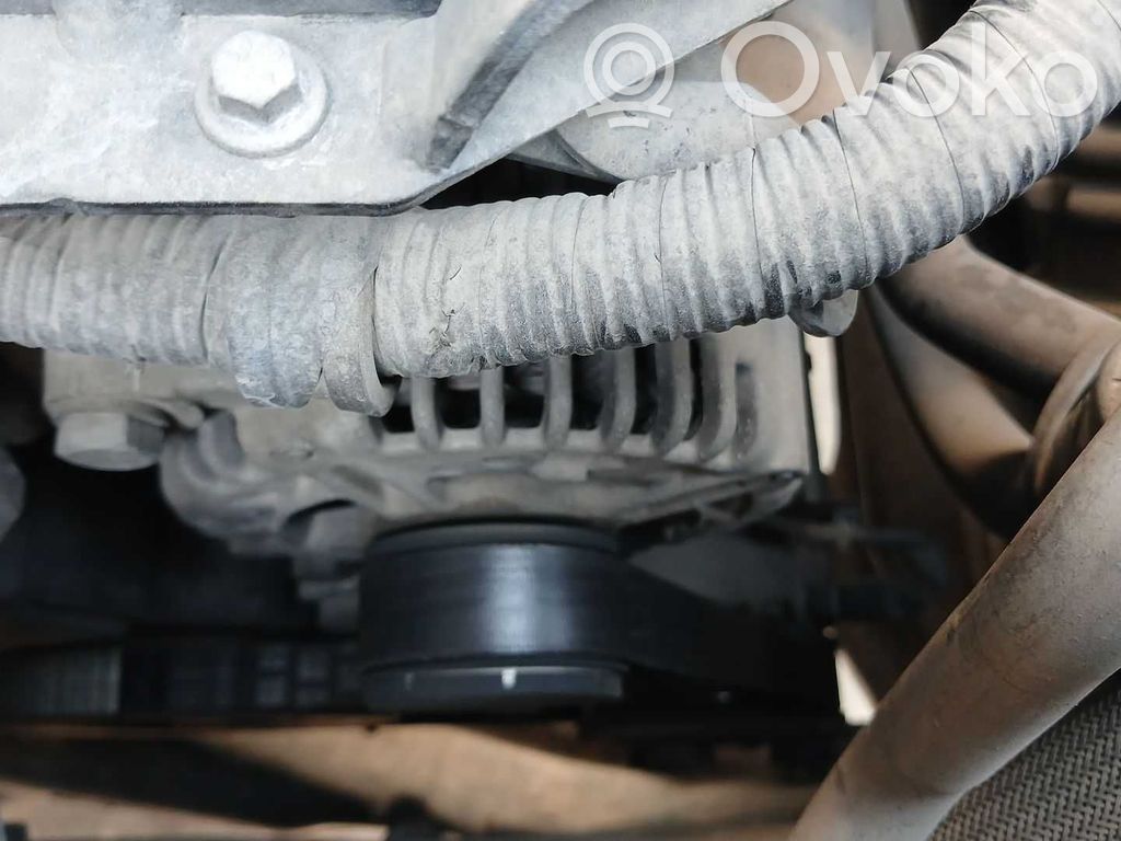 Generatore/alternatore   QXWB