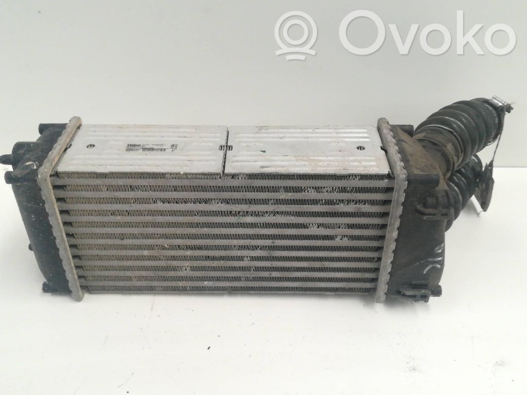 Radiador intercooler   876923JF