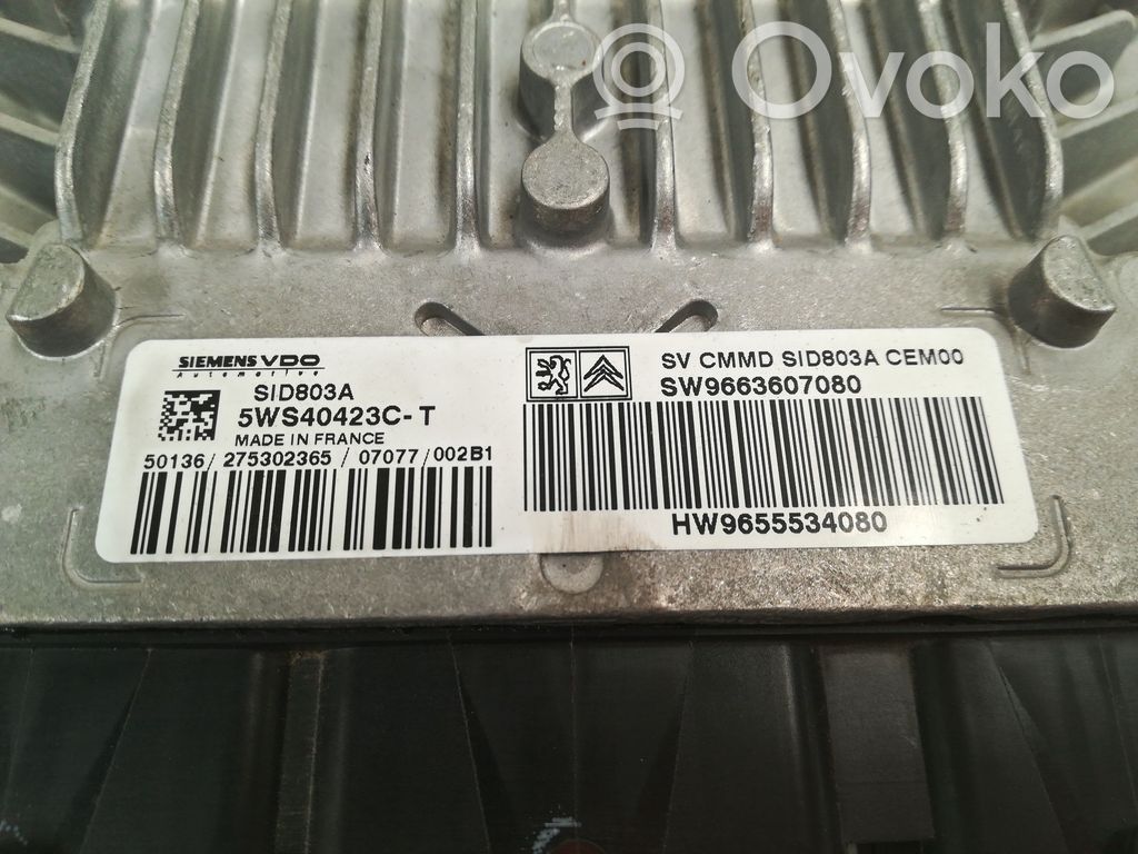 Peugeot 407 Engine control unit/module 