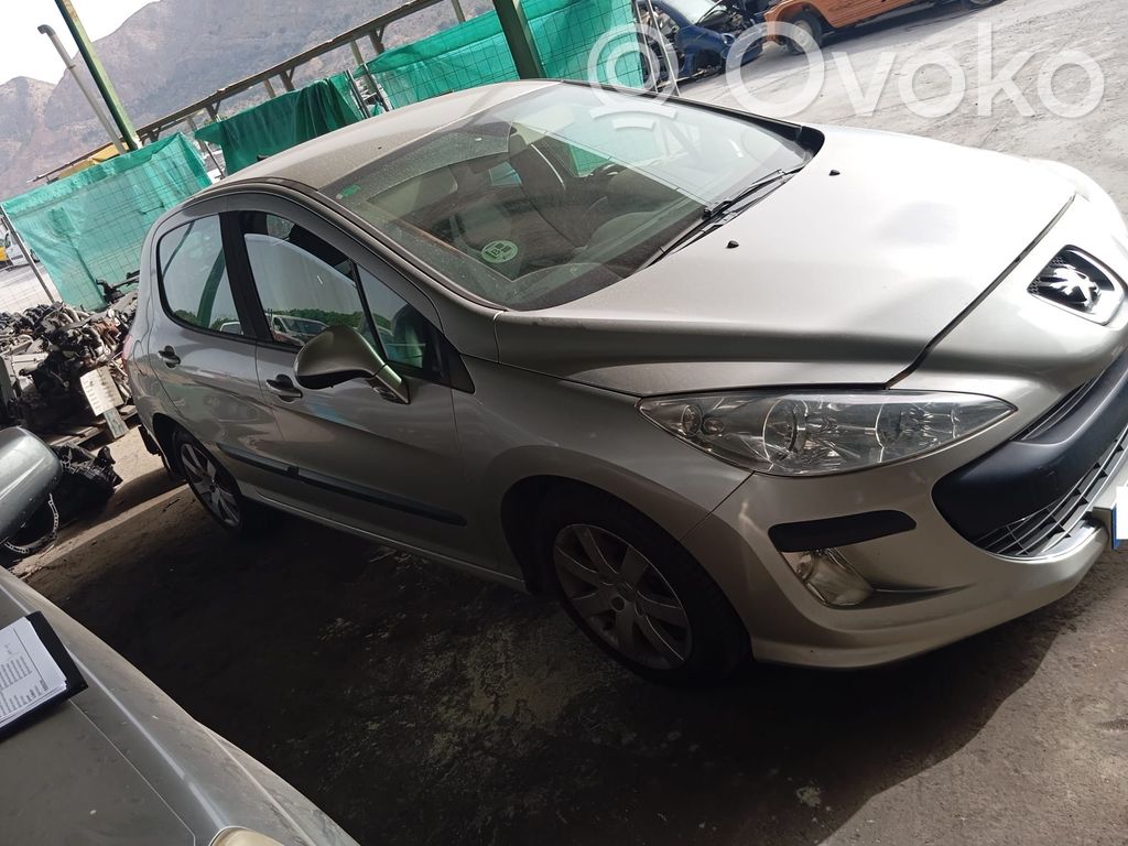 Peugeot 308 Specchietto retrovisore elettrico portiera anteriore 