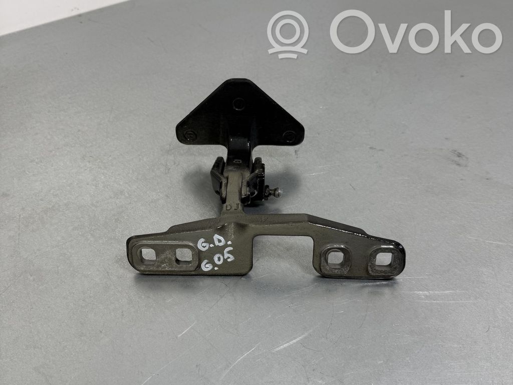 BMW X5 G05 Tailgate/trunk/boot hinge 