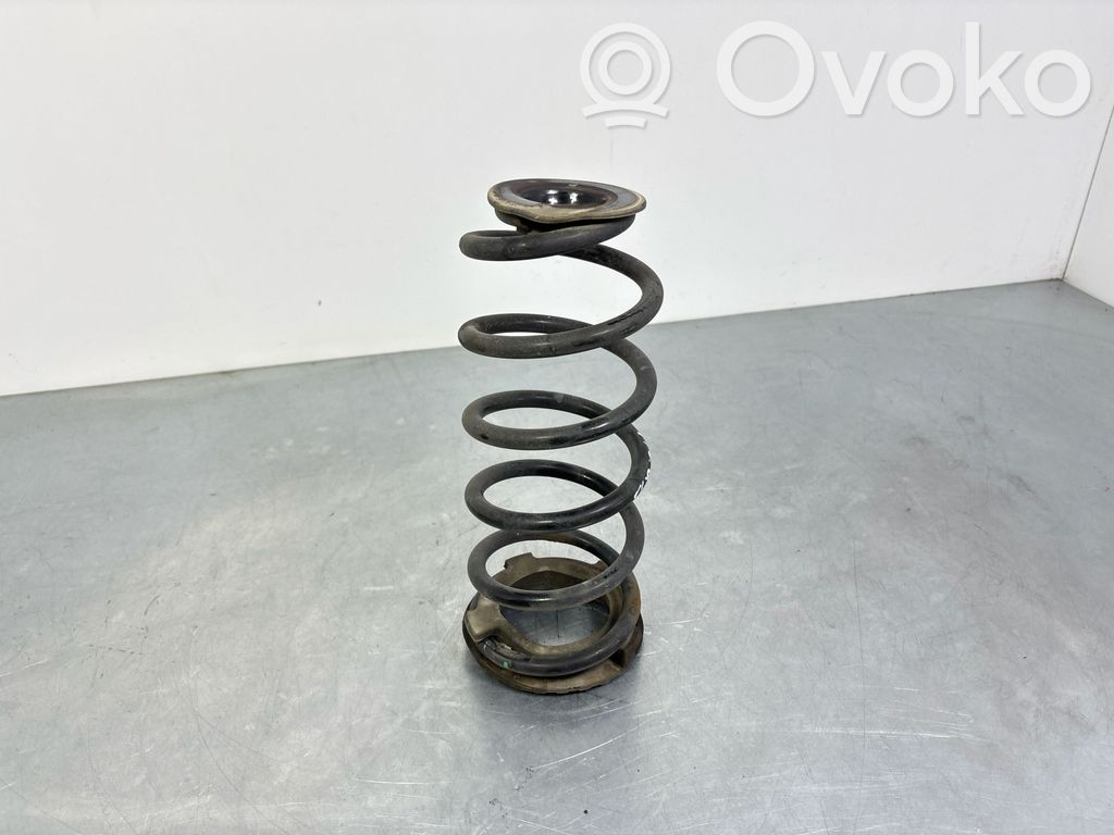 MG ZS Feder hinten 