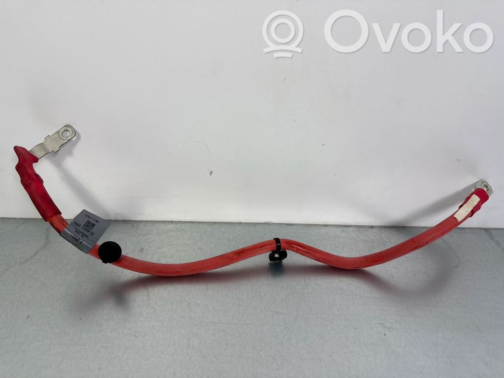 Plus / Klema / Przewód akumulatora   HK8314300DE,301192302,X76117YY