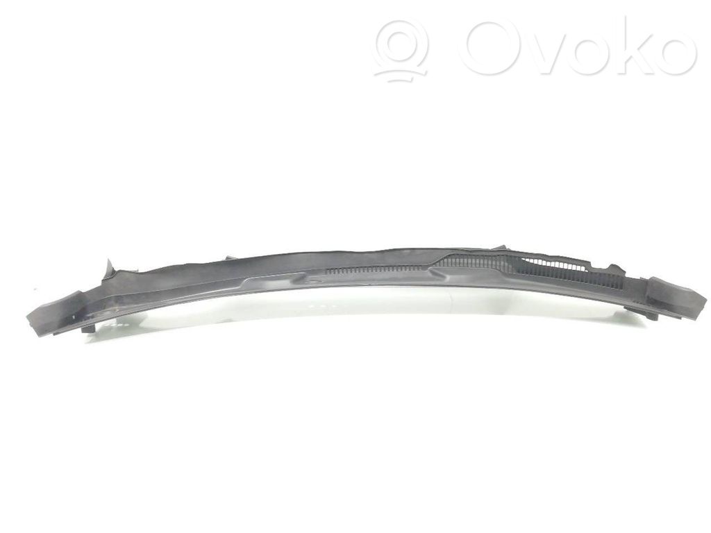 Windshield trim   7399015,51717399015