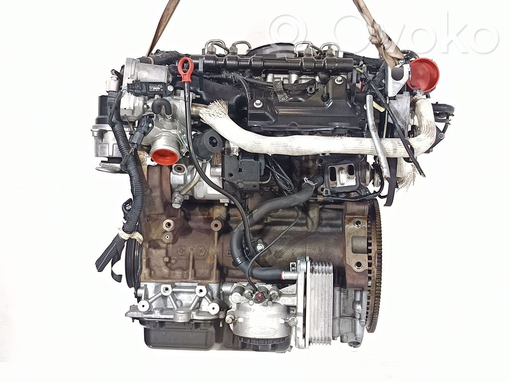 Engine   BG