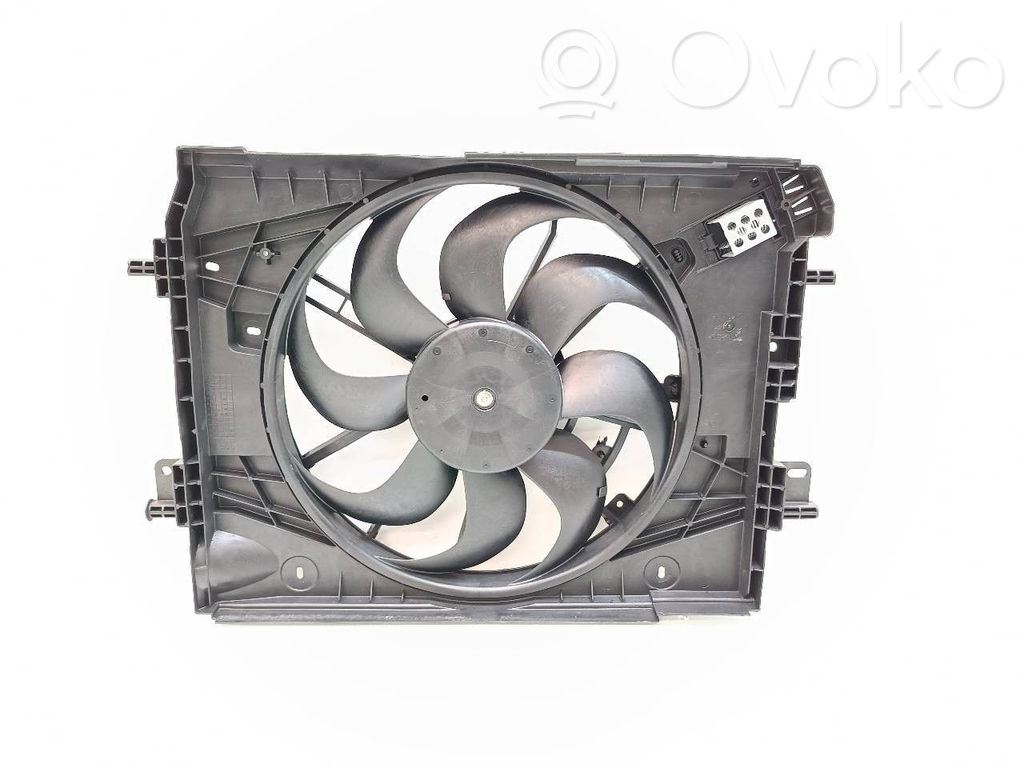 Elektrolüfter   214818009R