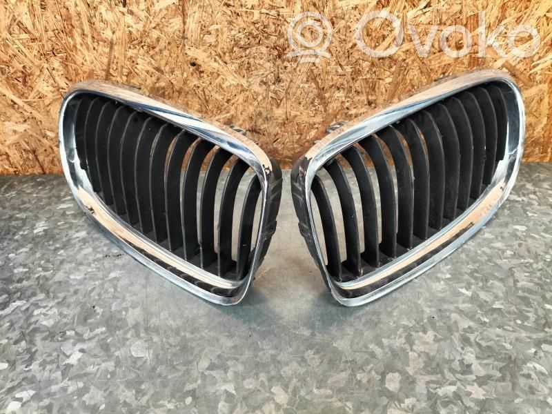 Front grill   51137201969