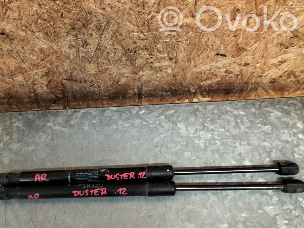 Tailgate/trunk strut/damper   904520004R