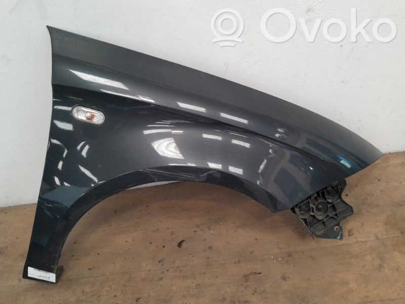 Guardabarro   5P0821022A