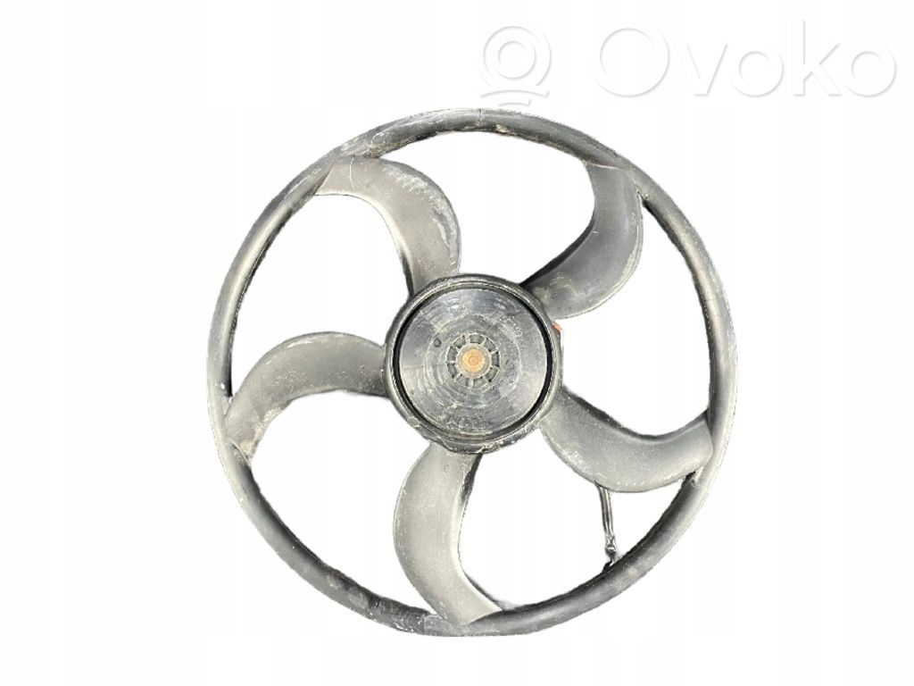 Elektrinis radiatorių ventiliatorius   3136613357