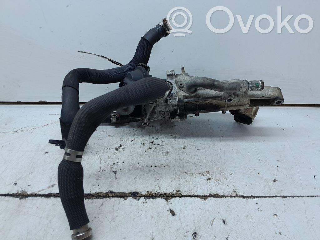 Citroen C5 EGR dzesētājs 
