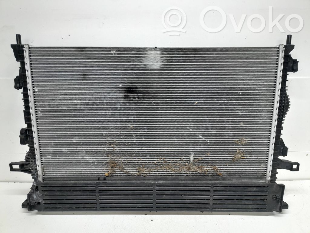 Ford Focus Coolant radiator 