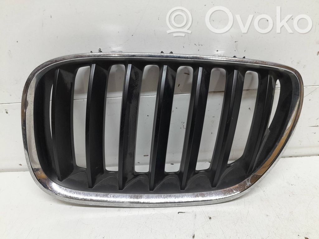 BMW X5 E53 Front bumper upper radiator grill 