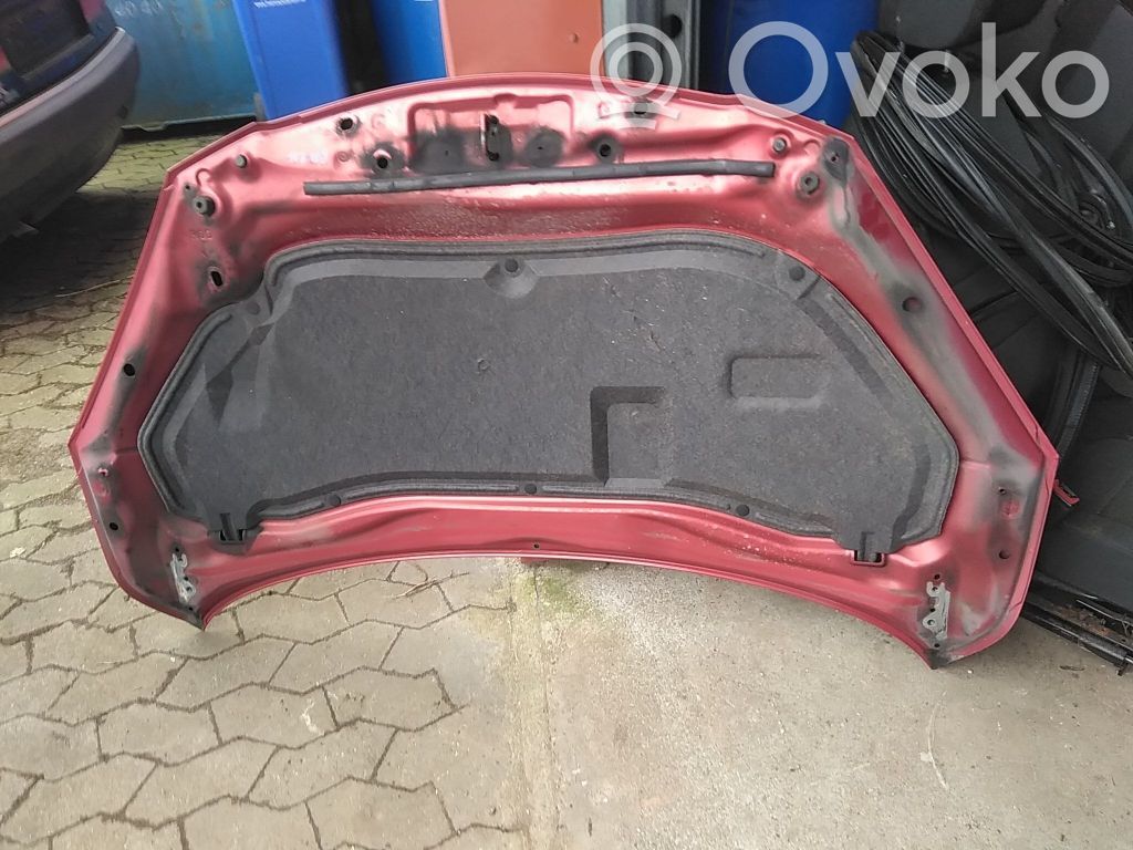 Motorhaube