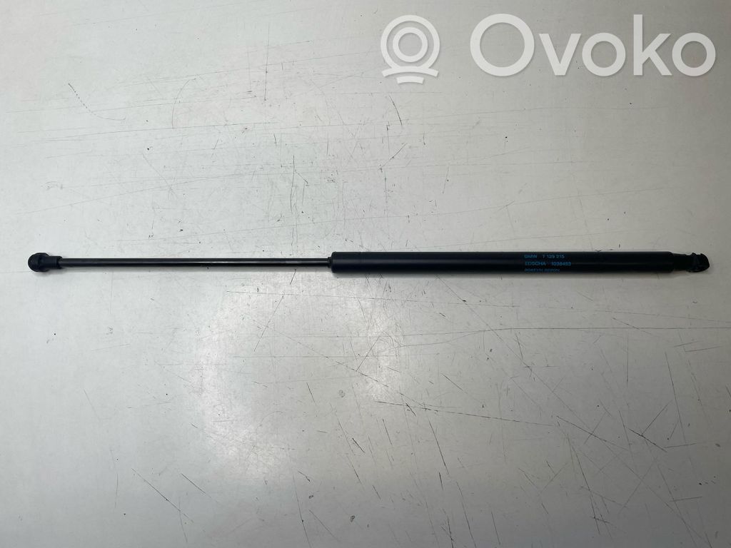 BMW 3 E92 E93 Tailgate/trunk strut/damper 