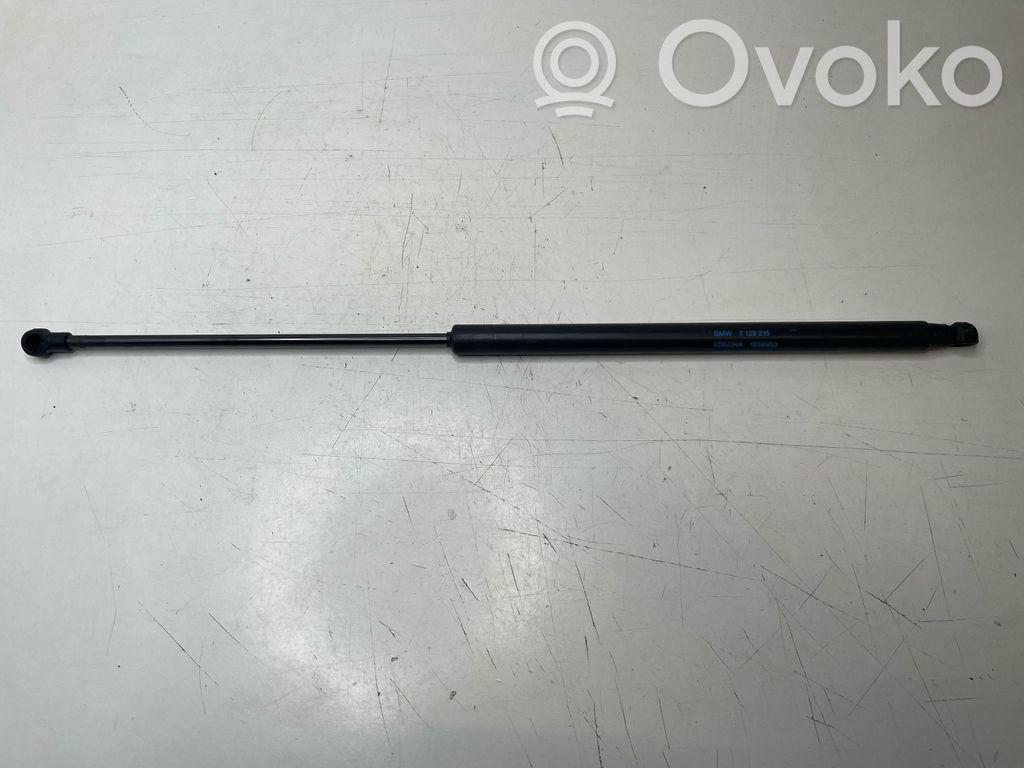 BMW 3 E92 E93 Tailgate/trunk strut/damper 