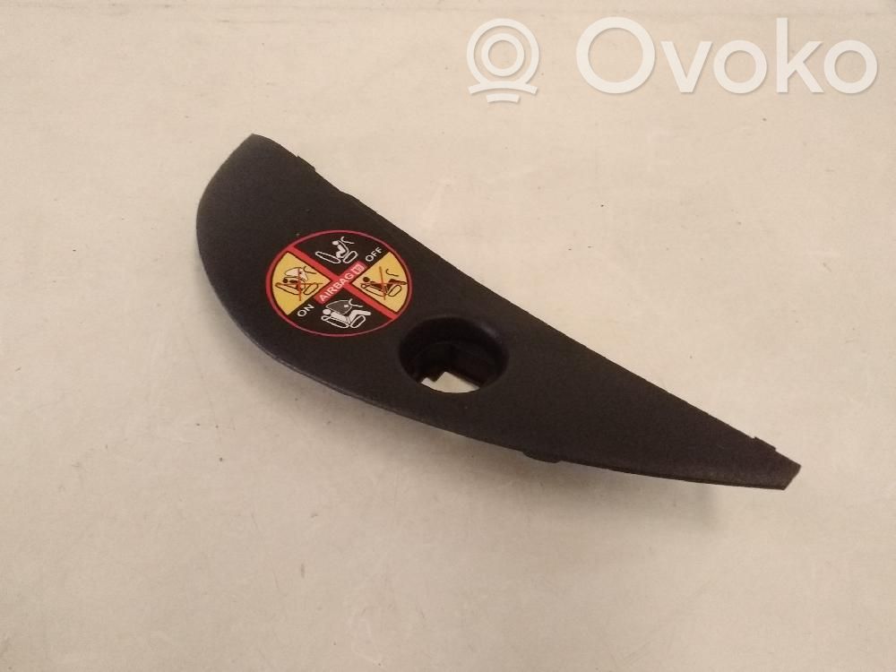 Renault Modus Trim molding 