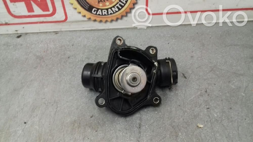 Termostato   2248038