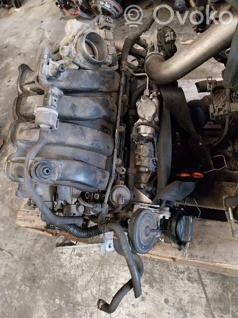 Motor   BLF