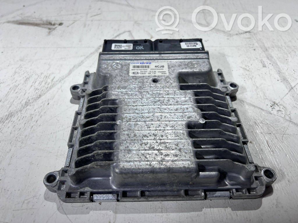 Engine control unit/module   391043LCJ0