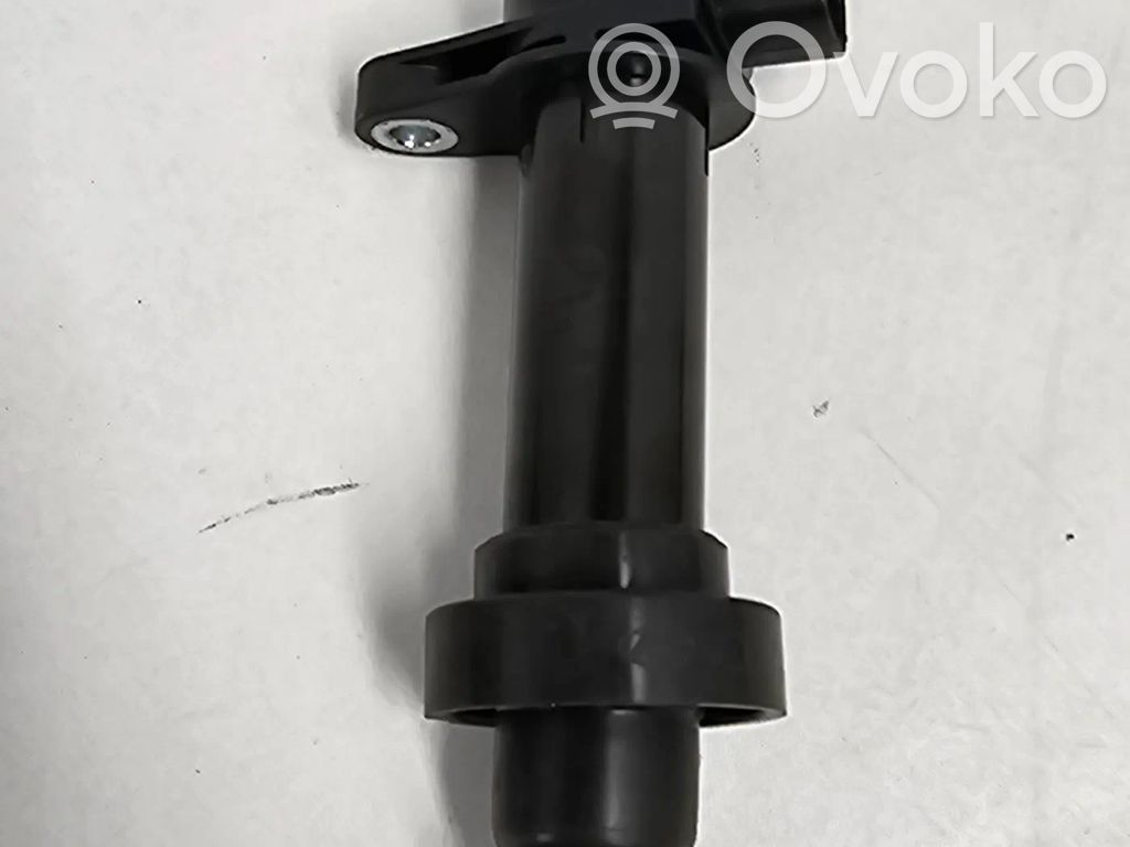 Zündspule Zündmodul   273012B010,0986221063,1970543,2730026640,273002B000,273002B010,2730126640,273012B000,CL584