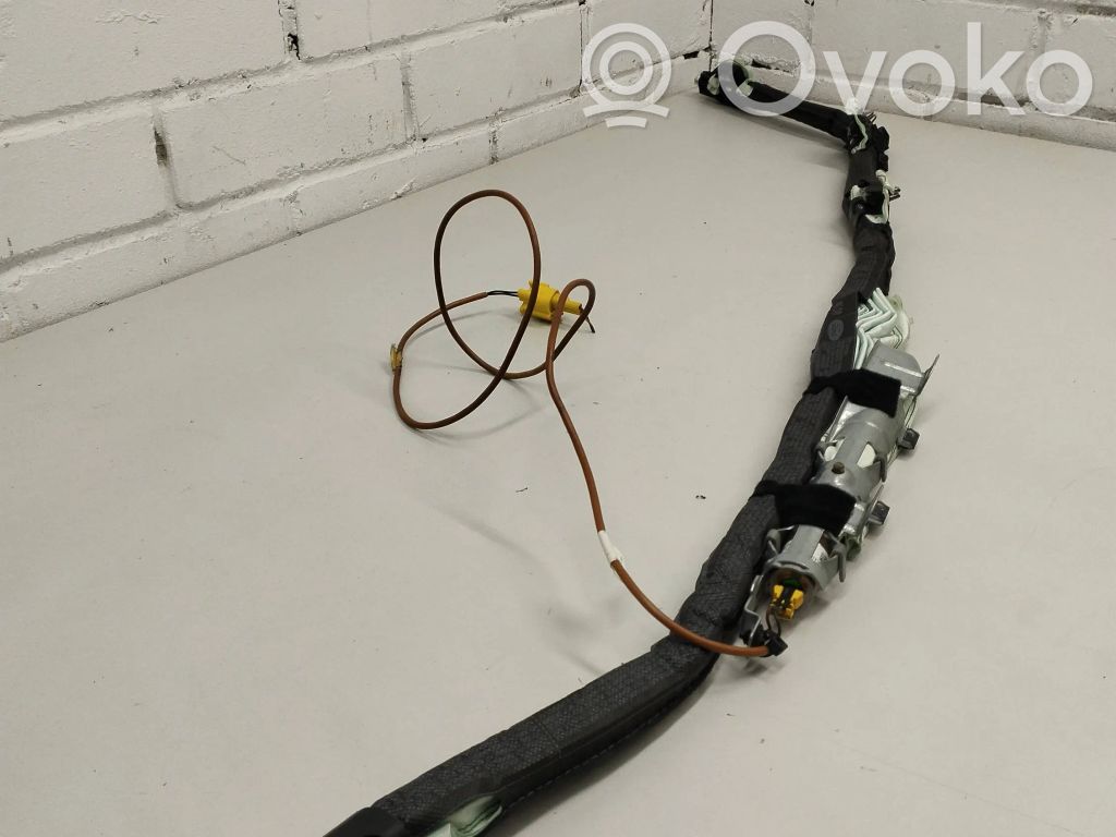 Ford Focus Airbag del techo 