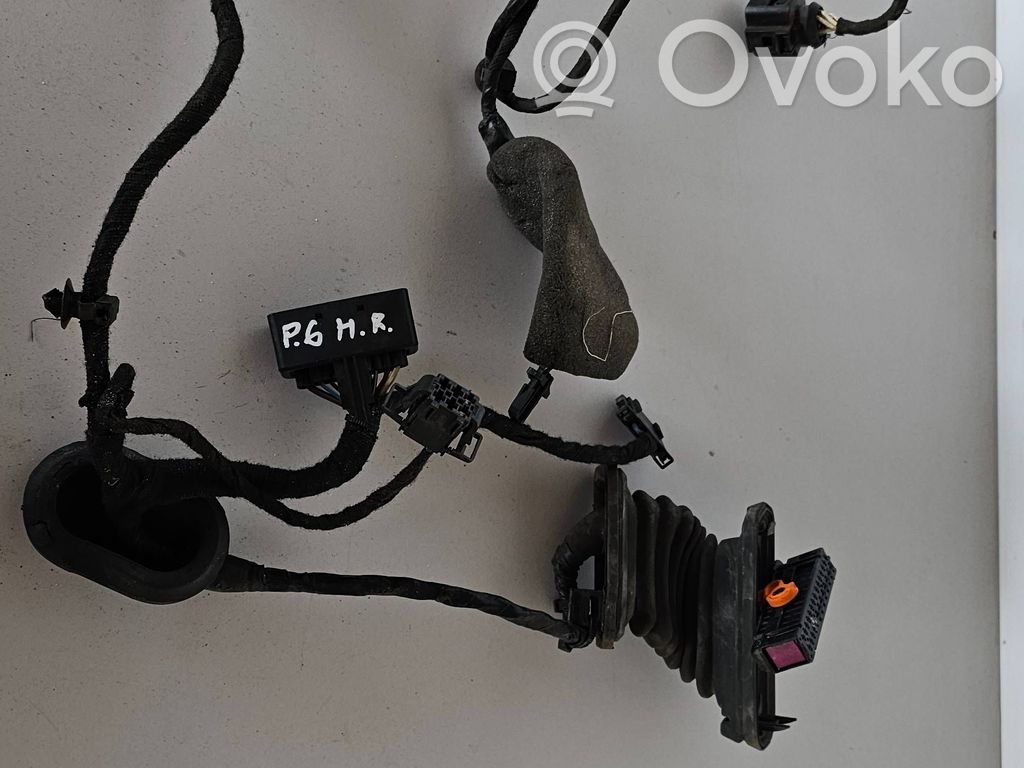 Volkswagen PASSAT B6 Cableado de puerta trasera 