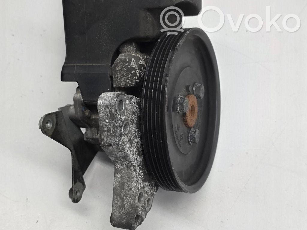 Power steering pump   1095749,7691974518