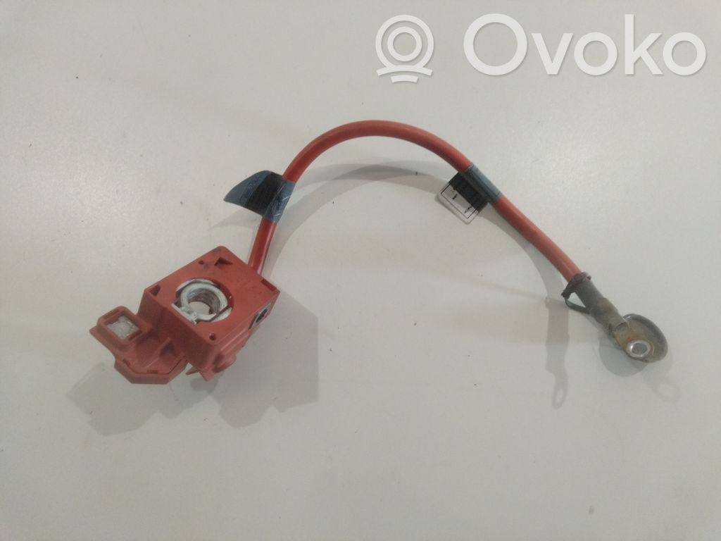 Cable positivo (batería)   6988974