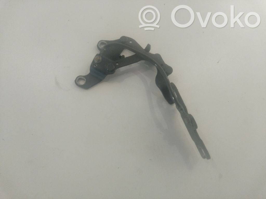 Charnière, capot moteur   7115263,ES03