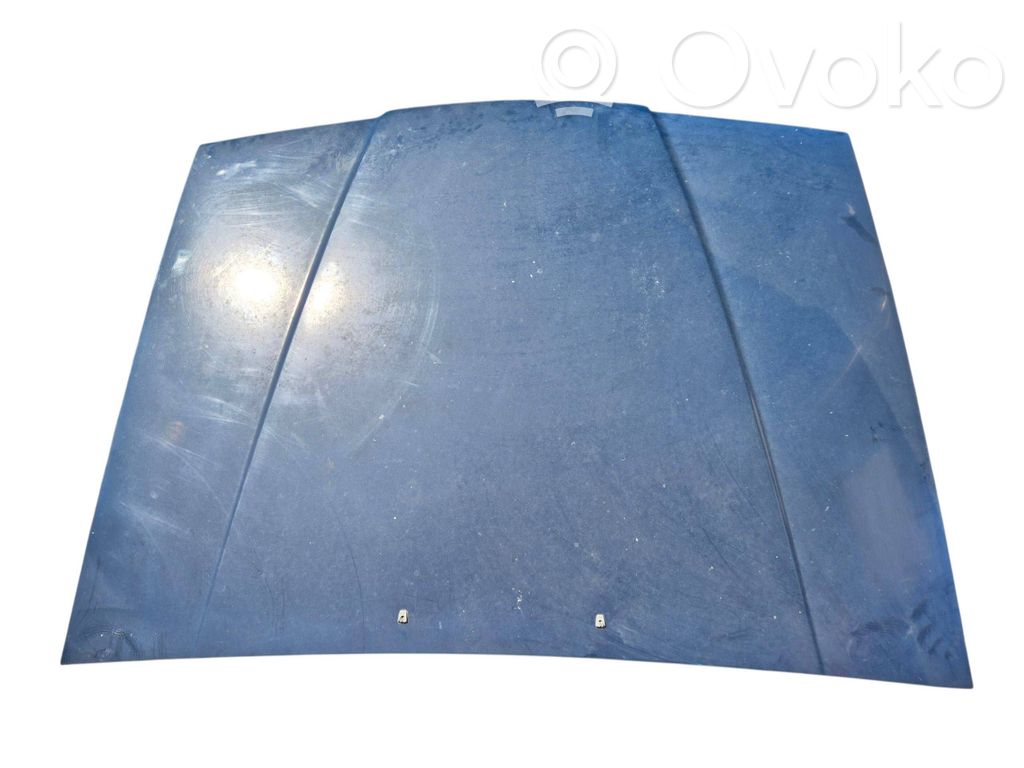 Engine bonnet/hood