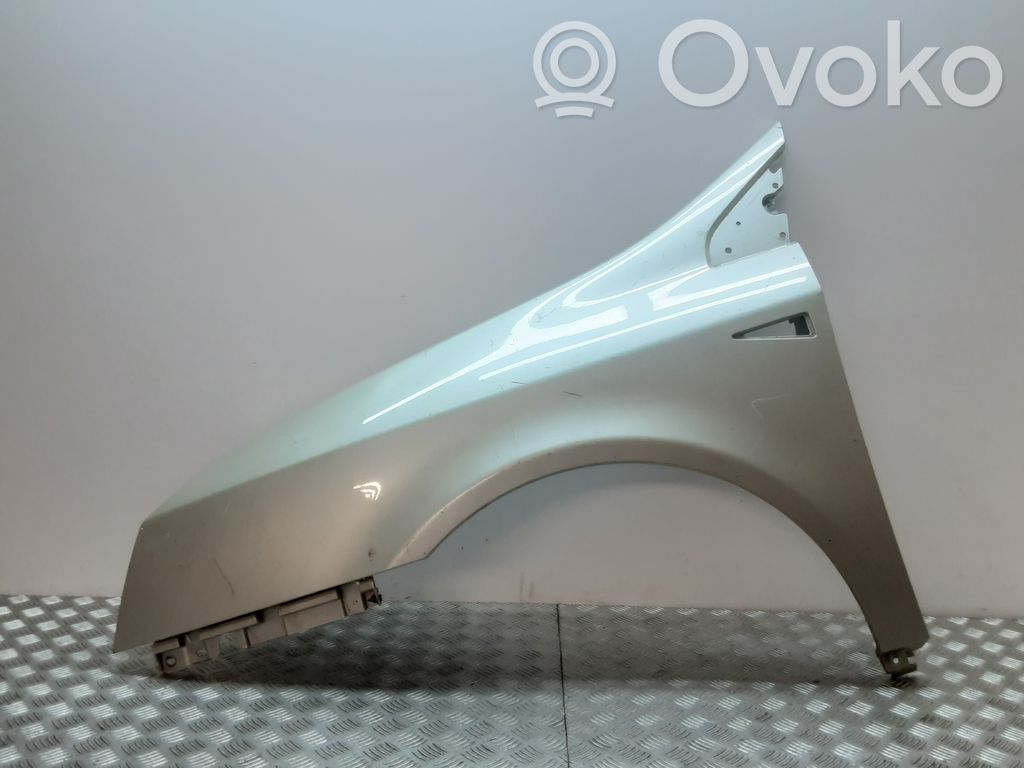 Renault Vel Satis Sparnas 