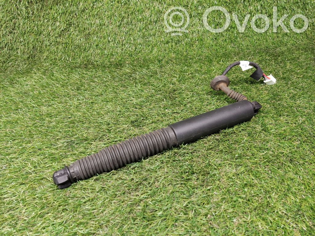 Tesla Model 3 Tailgate/trunk strut/damper 