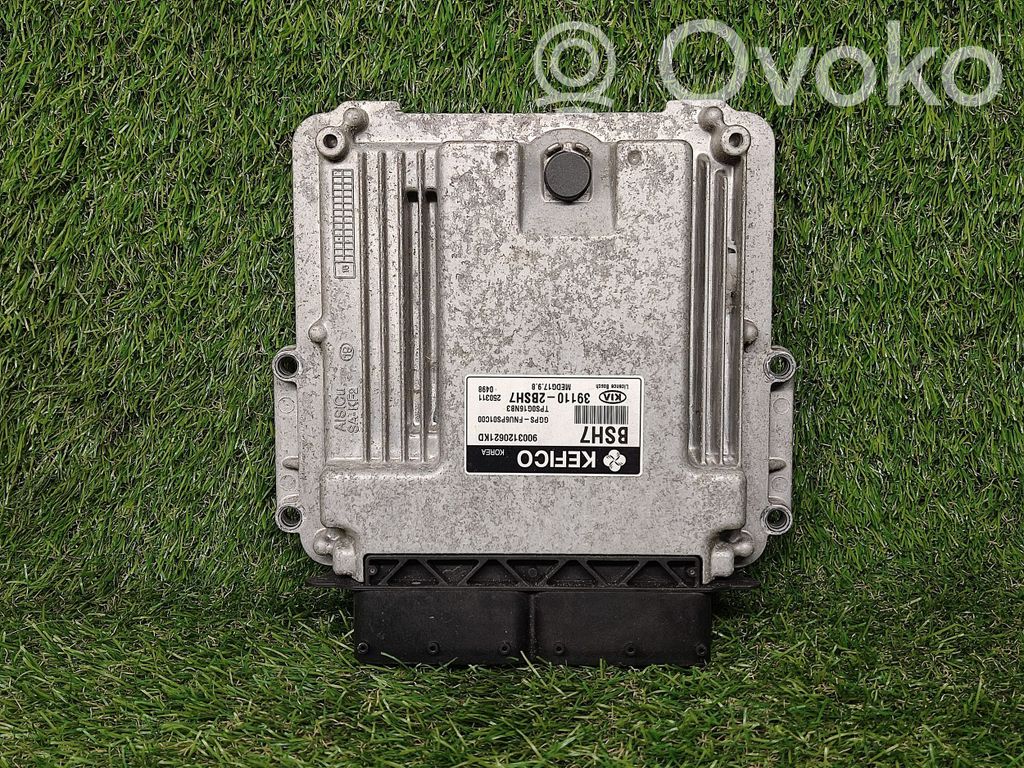 Engine control unit/module ECU   391102BSH7
