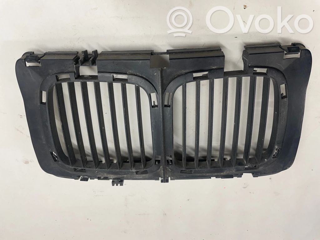 Front grill   1973825