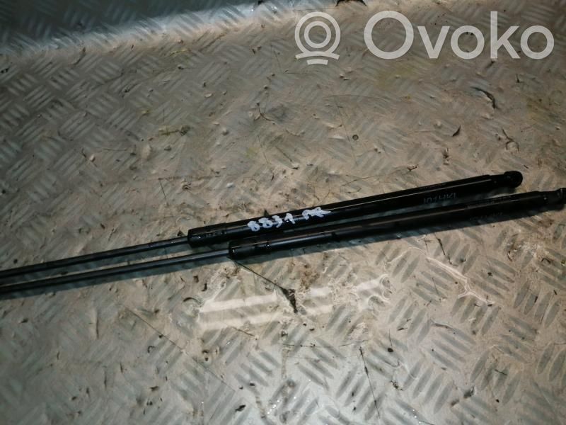 BMW i3 Tailgate/trunk strut/damper 