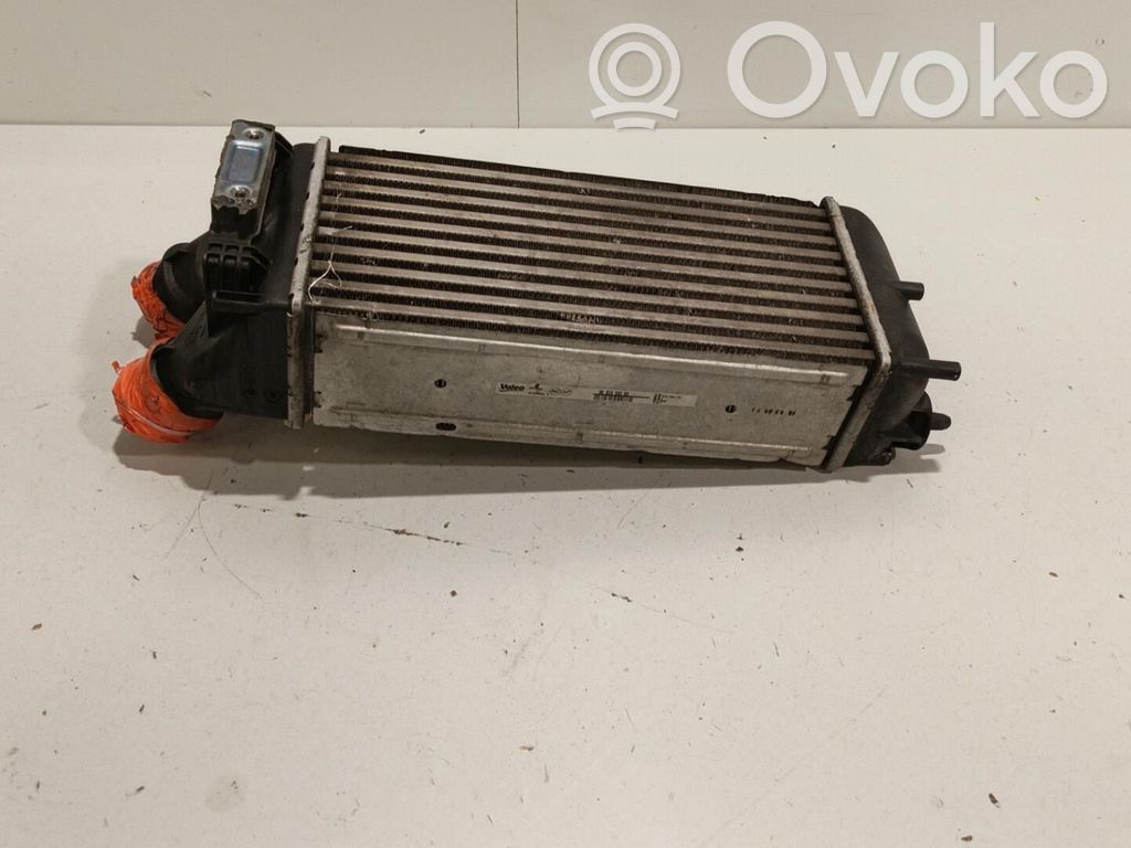 Interkūlerio radiatorius   00000384L9