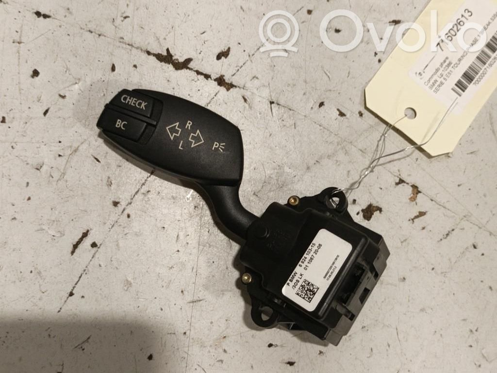 Indicator stalk   61316924103