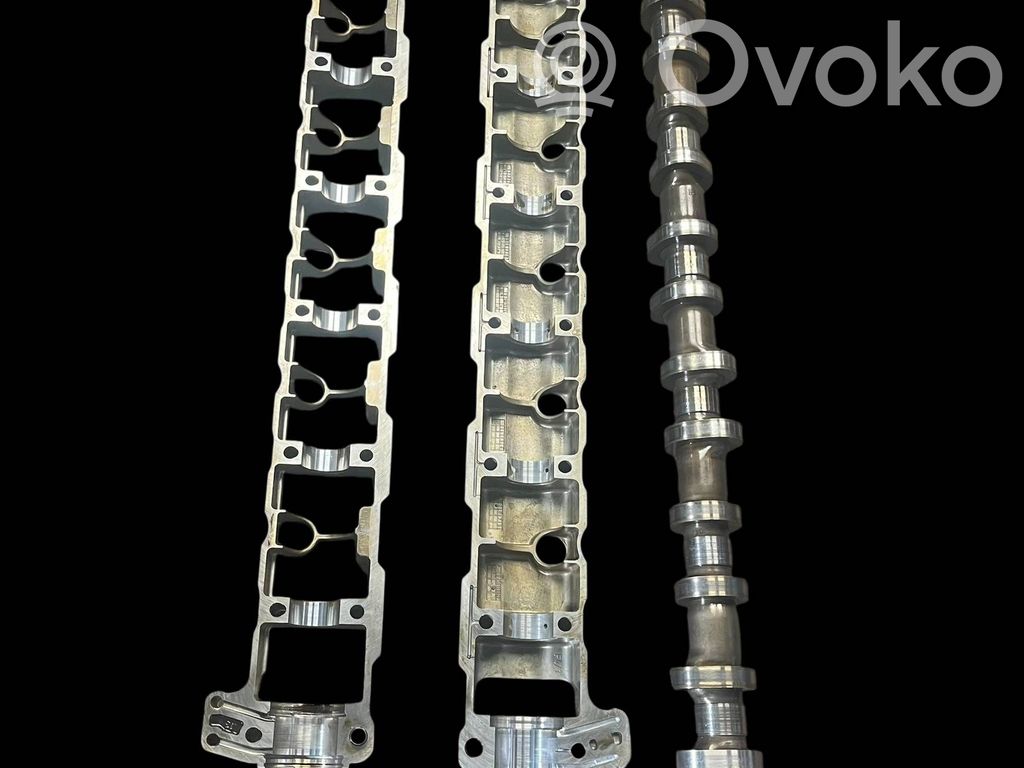Sadales vārpsta   7551508