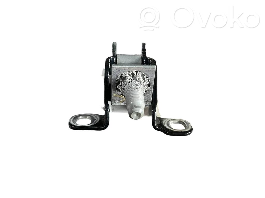 Mini Countryman U25 Tailgate/trunk/boot hinge 