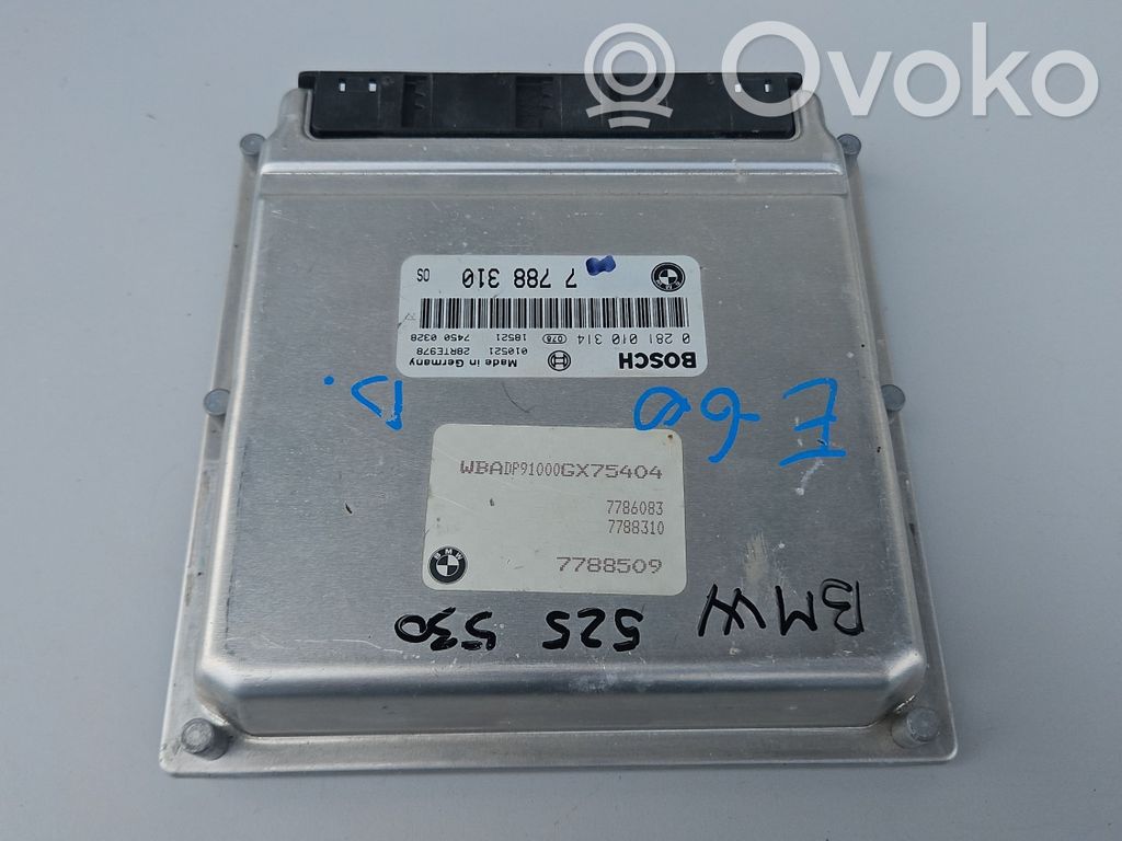 BMW 5 E39 Unidad de control/módulo ECU del motor 